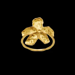 Maanesten Fraisa Ring Store