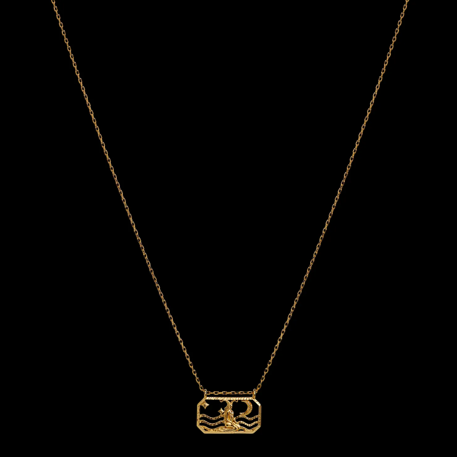 Maanesten Zodiac Capricorn Halskæde 22. Dec - 19. Jan Fashion