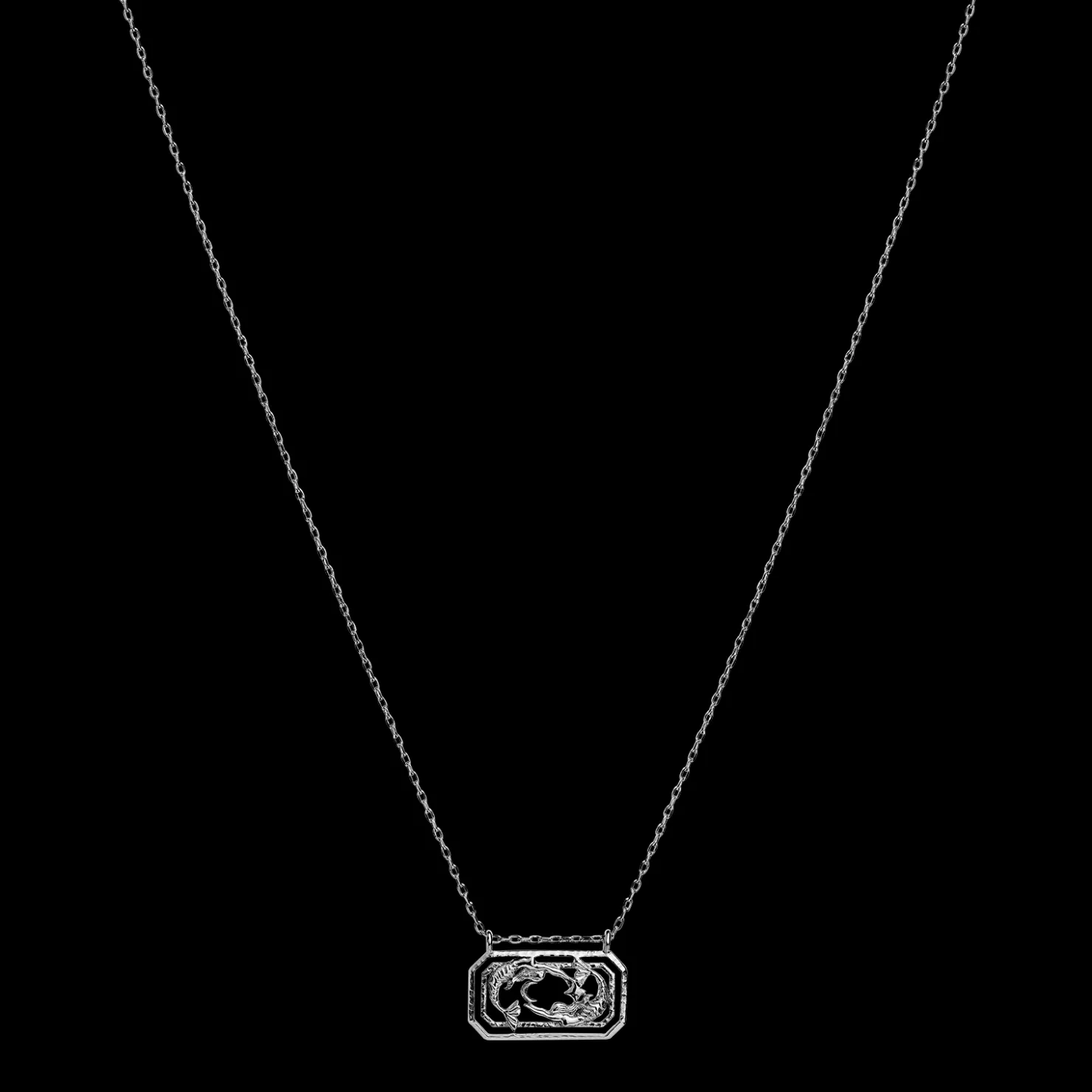 Maanesten Zodiac Pisces Halskæde 19. Feb - 20. Mar Shop